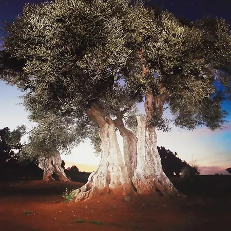 Casa Tra Borgo E Mare * モノーポリ