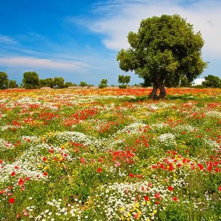 Casa Tra Borgo E Mare