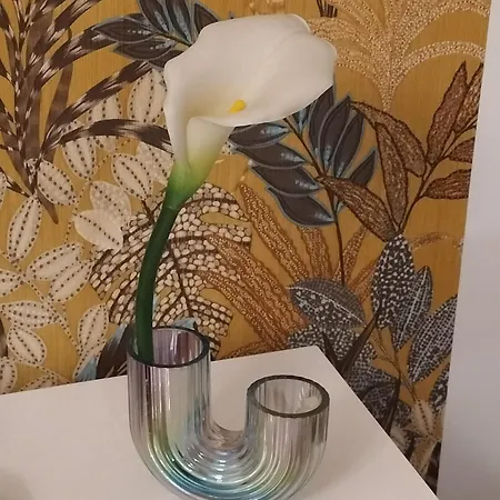 Casa Tra Borgo E Mare 別荘 モノーポリ