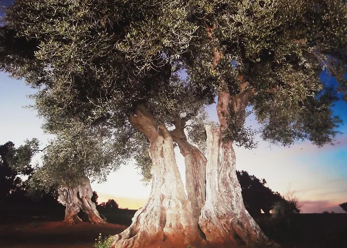 Casa Tra Borgo E Mare * Monopoli