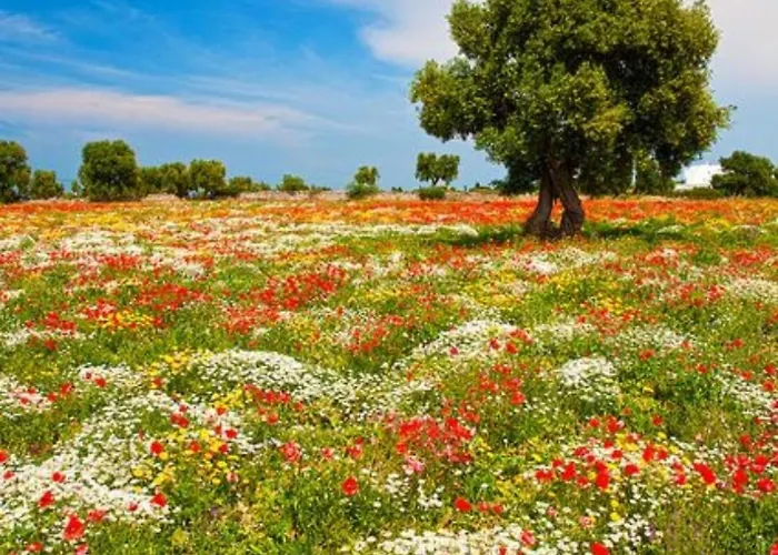 Casa Tra Borgo E Mare